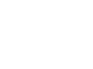 BTF LOGO Prancheta 1