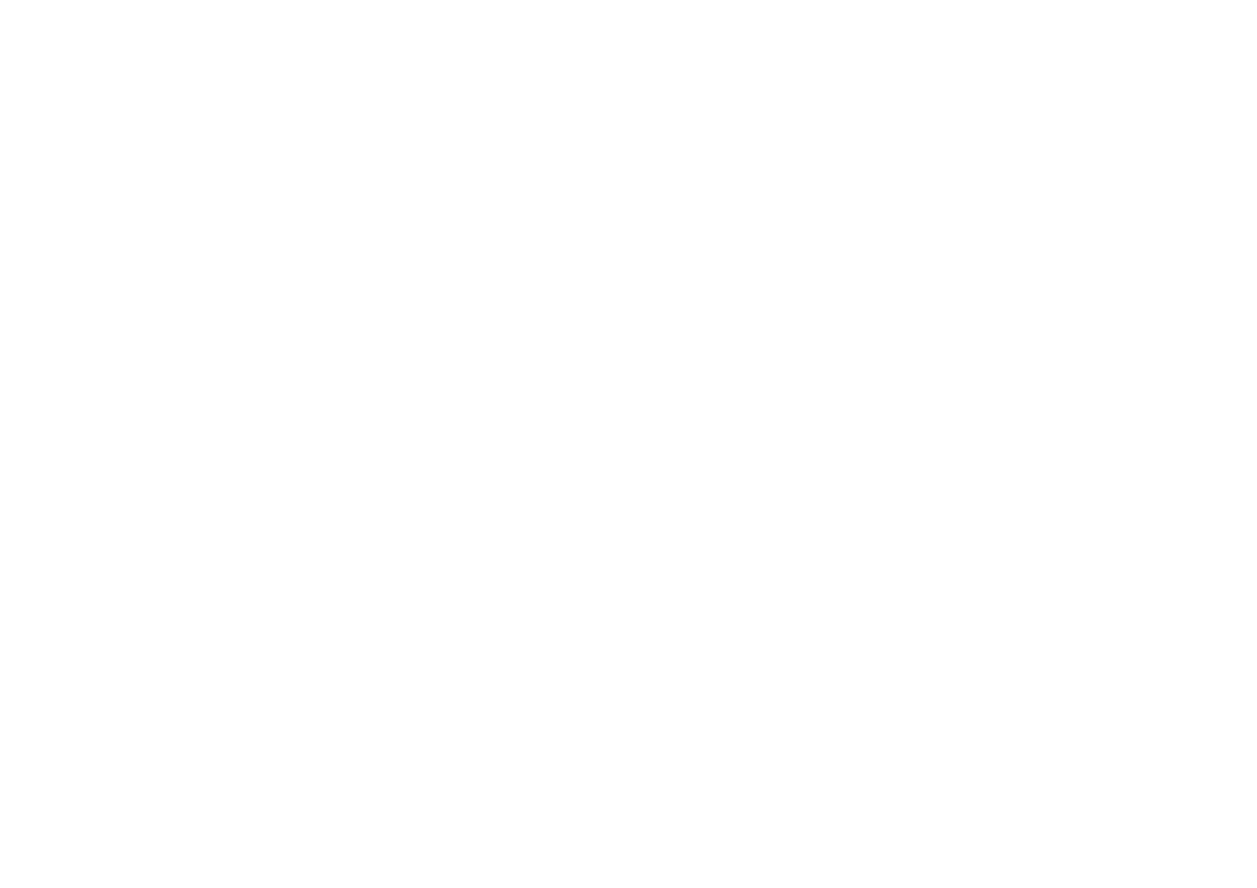 Inetum Logo White